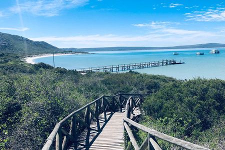 West Coast National Park private tour 