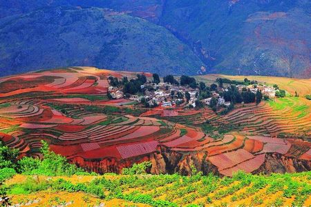 Private Dongchuan Red Land Sightseeing Day Tour from Kunming