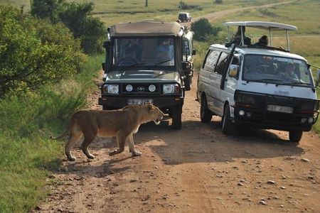 Nairobi Airport Layover Half Day Tour to Nairobi National Park