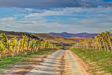 Full-Day Tokaj UNESCO World Heritage Site Private Wine Tour