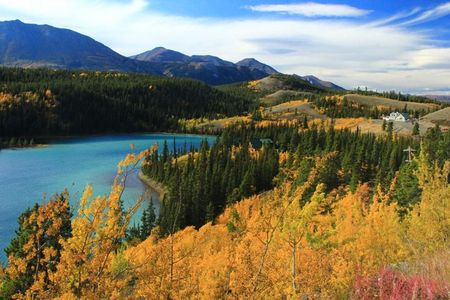 Skagway Shore Excursion: Yukon Dog Sledding and Sightseeing Tour