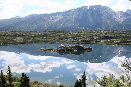 Skagway Shore Excursion: Yukon Discovery Tour