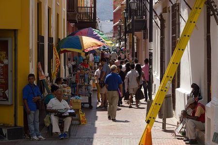 Old Town and Quinta San Pedro Santa Marta City Tour