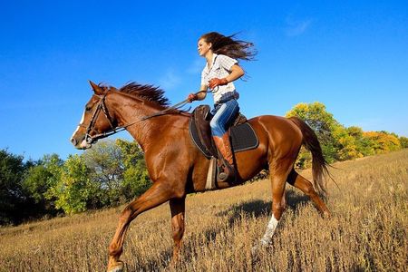 Arenal Volcano Horseback Riding & Baldi Hot Springs. Private Tour