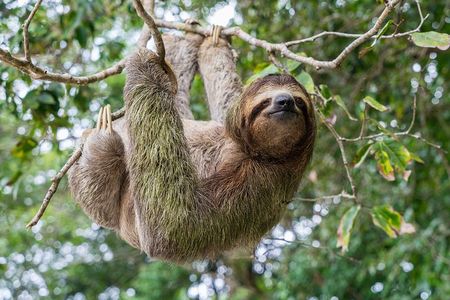 Wildlife Rescue Center. Private Tour
