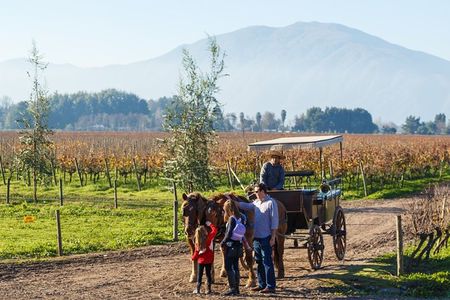 Private Colchagua Valley wine tour all inclusive from Santiago