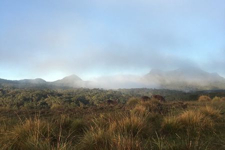 Private Tour in Horton Plains National Park & World's End Tour with Pick up