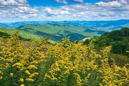 Hike with Long Range Views from Asheville