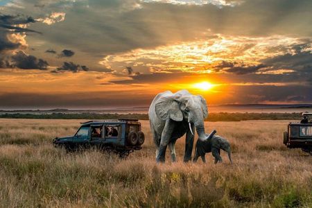 2 Days Northern Circuit Safari (lake Manyara & Ngorongoro)