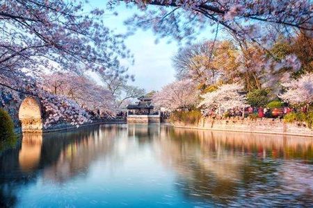  All Inclusive Wuxi City Flexible Private Day Tour 