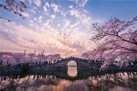 Wuxi Private Flexible Day Tour from Shanghai by Bullet Train