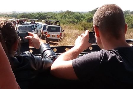 Tsavo East National Park small group tour