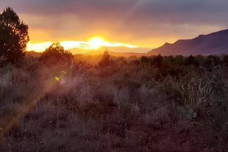 Sunrise Wildlife Safari Tour by Jeep from Sedona