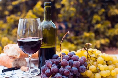 Private Half day Concha Y Toro winery tour from Santiago