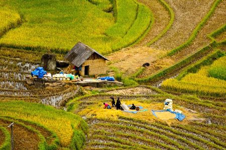 Sapa Hard Trekking villages 2D/1N: Homestay, Meals, English speaking guide