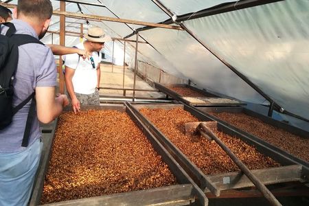 Specialty coffee experience & tasting 20 min from El Poblado MDE