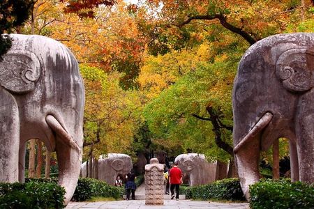 6-Hour Private Tour of Xiaoling Tomb,City Wall & Memorial Hall 