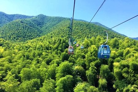 Yixing Bamboo Forest Private Day Tour from Wuxi with Lunch