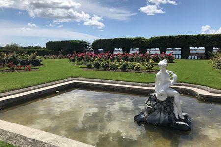 Tauranga Shore Excursion: History & Kiwifruit Tasting – 4 Hours