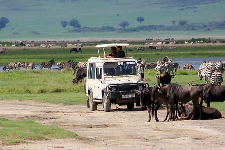 5 Days Tanzania Private Safari Tour 