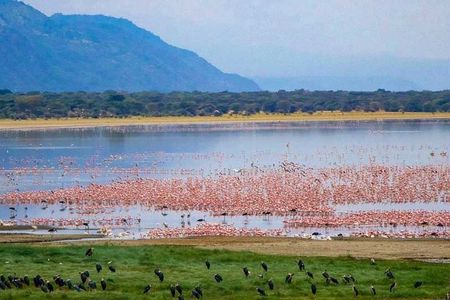 6 days Budget Camping Safari Tour Tanzania