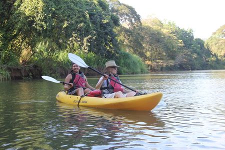 Wildlife and Mangrove Kayaking Tour Río Ora