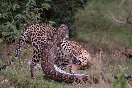 3 Days to Maasai Mara N/R.