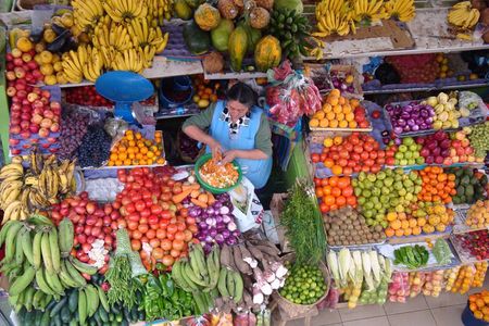 Private Cuenca City Half Day Tour