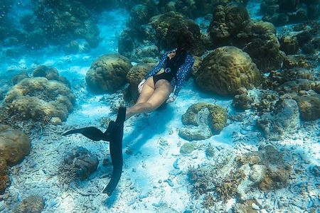 Discover Freediving in Koh Lanta, Thailand