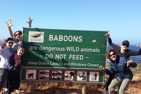 Cape of Good Hope and Cape Winelands Day Tour from Cape Town