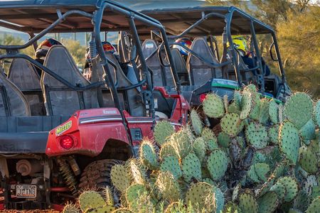 Guided Arizona Desert Tour by UTV