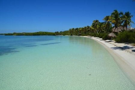 Contoy Island Tour from Playa del Carmen & Cancun