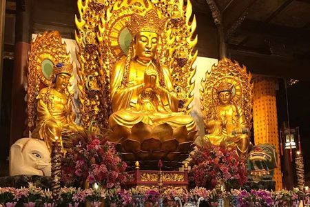 Shanghai Private Tour of Zhujiajiao Ancient Town, Shanghai Zoo,Longhua Temple