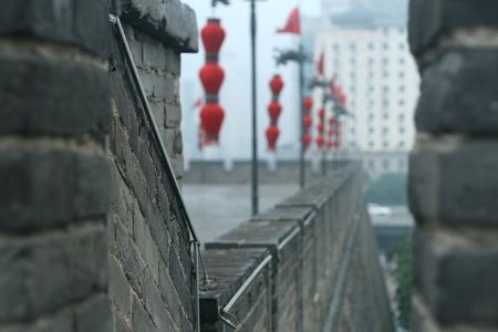 Private Xi'an 2-Day Tour from Shanghai with Deluxe Soft Sleeper Train Experience