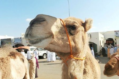 A Taste of Oman 4 Nights/ 5 Days/
