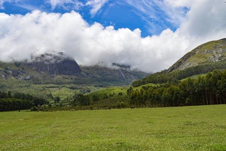 Full-Day Private Tour to Munnar from Kochi with Lunch