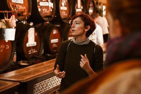 Flamenco, Tapas and Wine Tour: Best of Málaga in one Evening