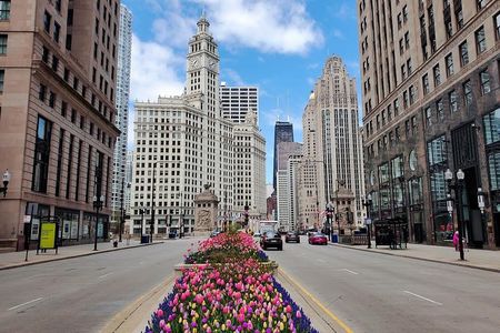 Private Chicago City Minibus Tour