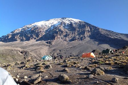 7-Day Lemosho Route Hiking in Kilimanjaro