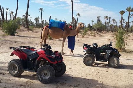 Marrakech Camel ride & Quad Bike experience in the oasis Palmeraie 