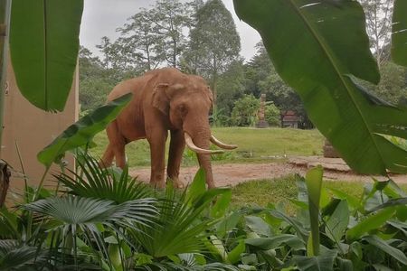 Private Family Day Tour in Guangzhou to Grandview Aquarium and Guangzhou Zoo