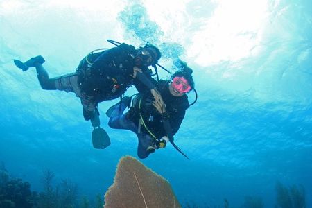 Guided Shore Dive for Certified Divers with Scubaçao (1 tank)