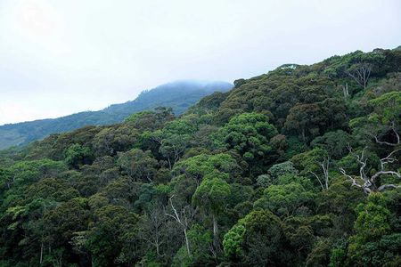 12 Nights Wild Life & Nature Tour
