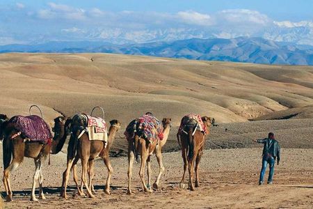 Agafay Desert: Sunset Dinner, Pool & Camel