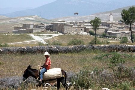 Berber villages trek Day trip