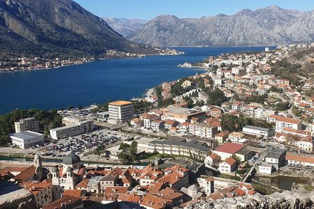Dubrovnik: Private Kotor & Porto Montenegro Day Tour