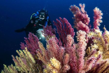 Scuba diving in Calabria, Italy
