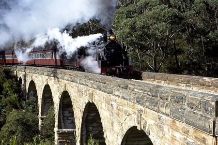 [Private Tour] Healesville Sanctuary Wildlife & Puffing Billy Steam Train