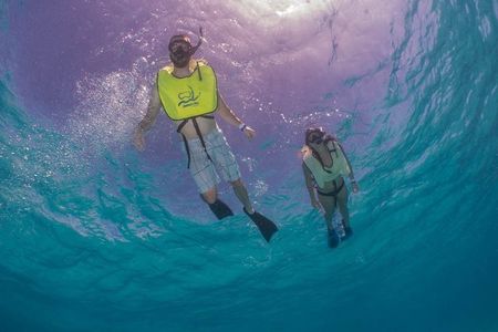 Fajardo, Puerto Rico: Morning Snorkeling Beach Tour 