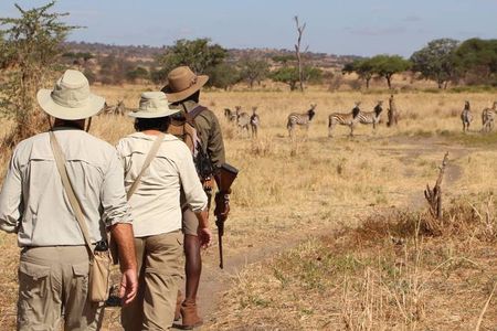 2 Days Lodge safari.
